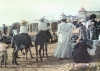 Ansicht von 1908