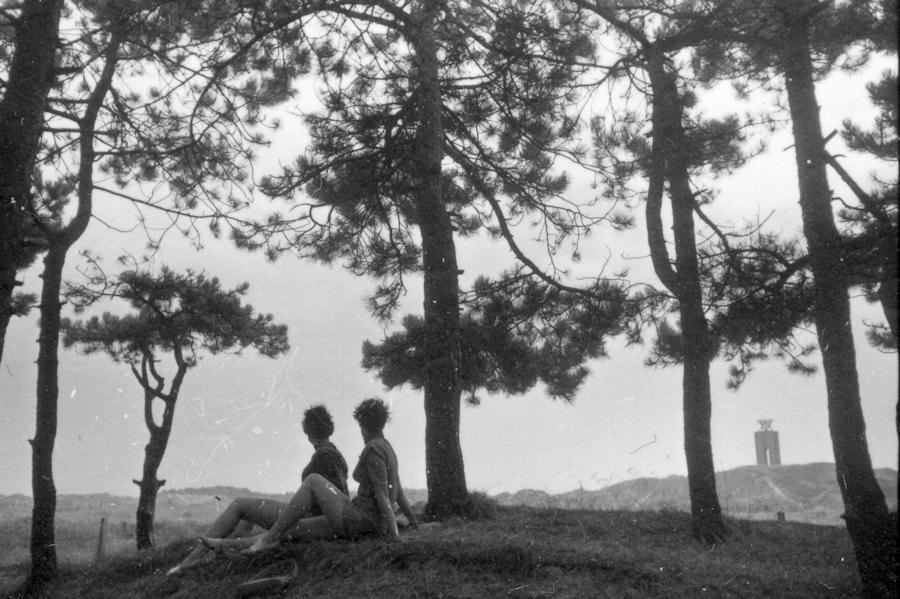 1955 - Wald
