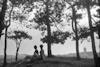1955 - Wald