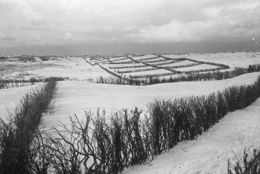 1955 - Dünen