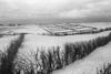 1955 - Dünen