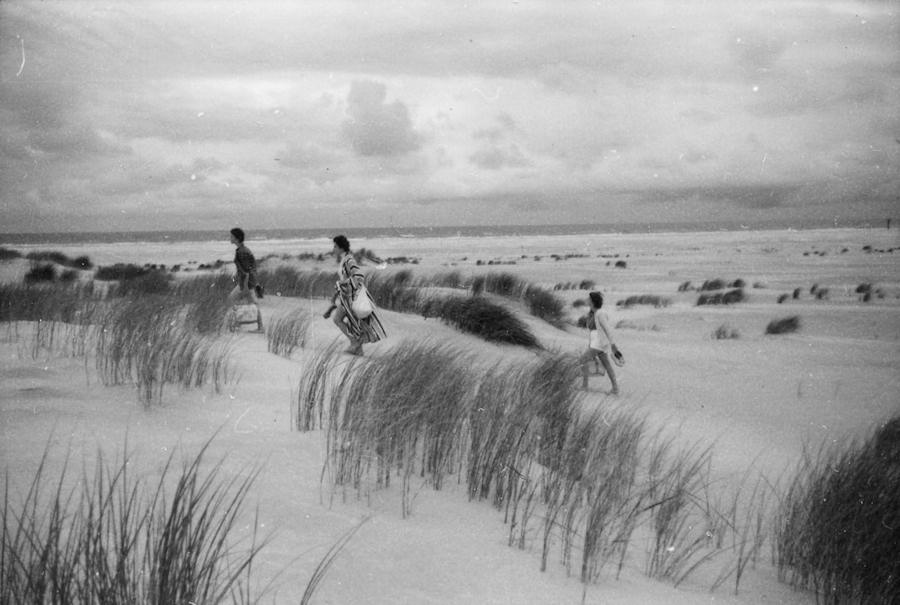 1955 - Dünen