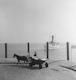 1955 - Hafen