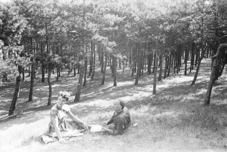1955 - Wald