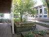 2003 - Am Kurmittelhaus / Kurgarten