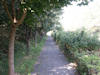 2003 - Mühlenstrasse