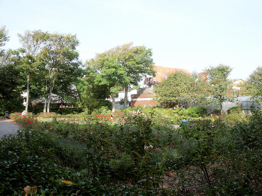 2003 - Rosengarten
