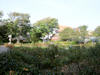 2003 - Rosengarten