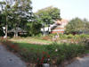 2003 - Rosengarten