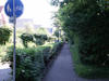 2003 - Rosenweg