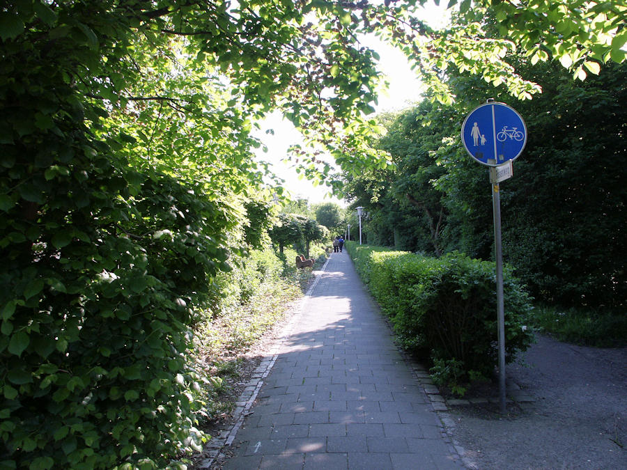 2003 - Rosenweg