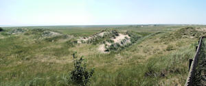 Blick von der Möwendüne (08.08.2004) Blick von der Möwendüne (08.08.2004)