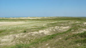 Blick von der Möwendüne (08.08.2004) Blick von der Möwendüne (08.08.2004)