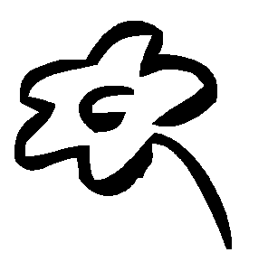 Bild 21