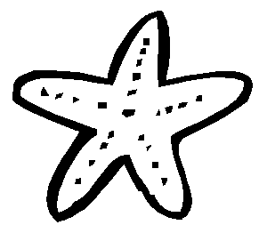 Bild 30