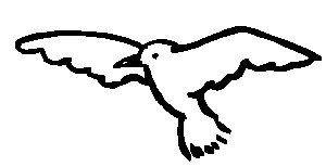 Bild 53