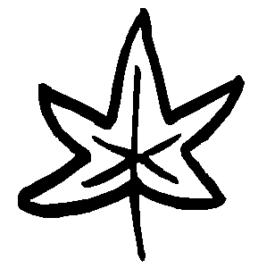 Bild 64