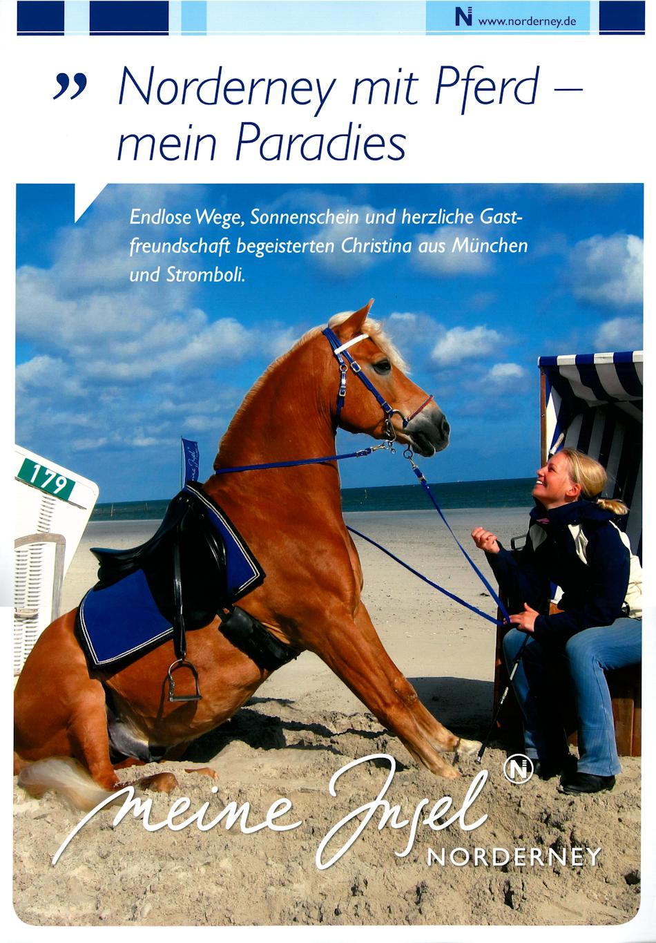 Inselempfehler 2013