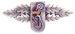 Florianmedaille der Niedersächsichen Jugendfeuerwehr