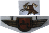 Neues Mützenemblem