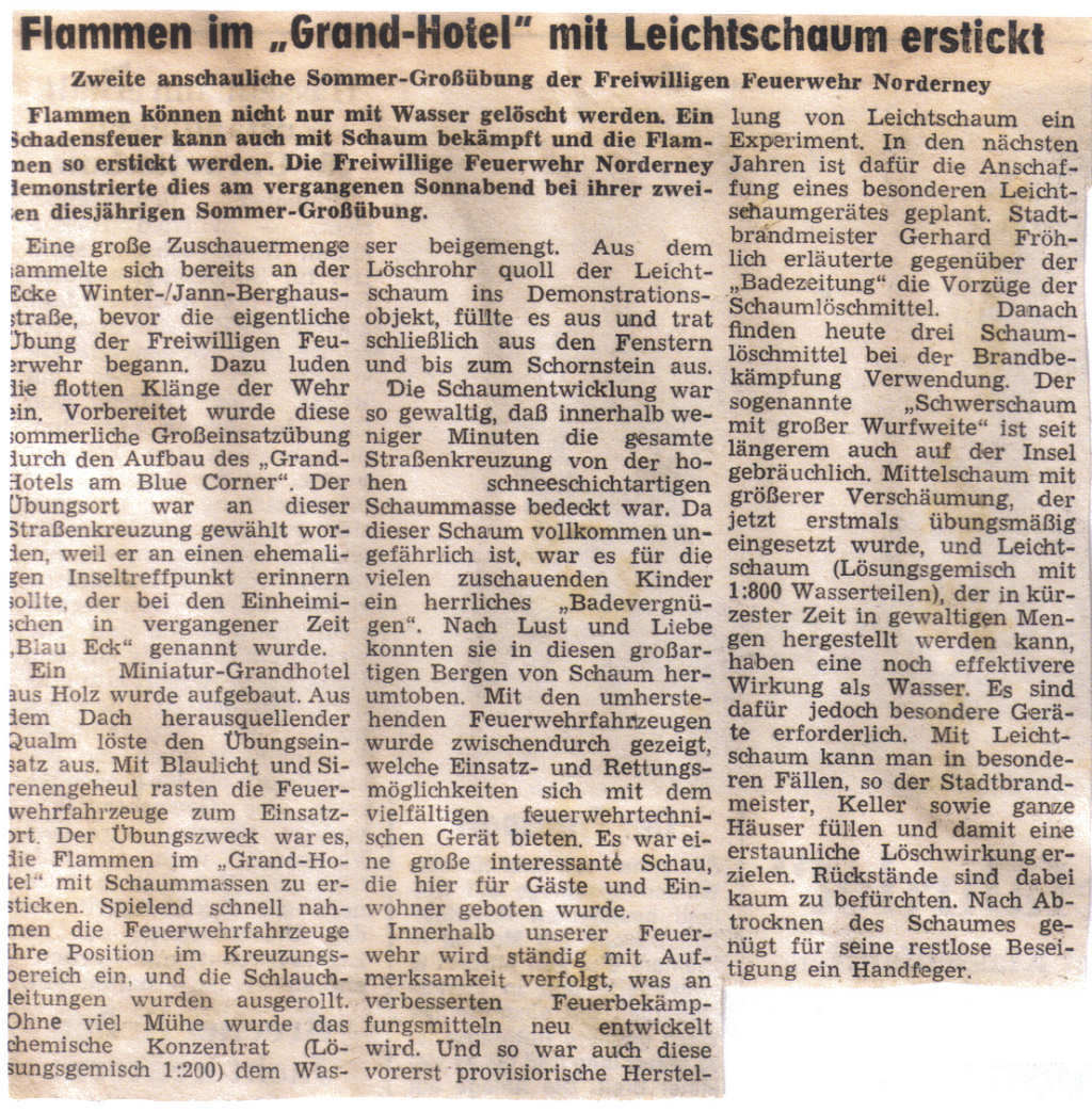 Sommer-Großübung an "Blau-Eck" - August 1982