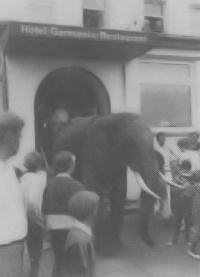 Jumbo