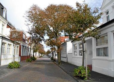 Bäume der Benekestraße