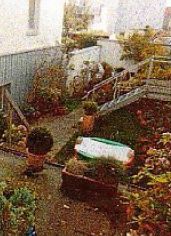 kleines Hofparadies