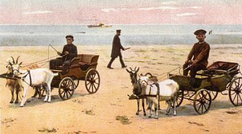 Weststrand