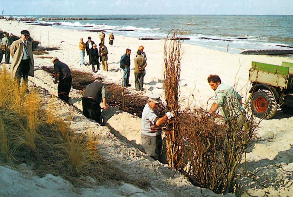 Sandfangzaun