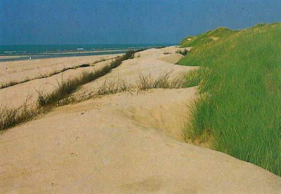 Sandfangzaun
