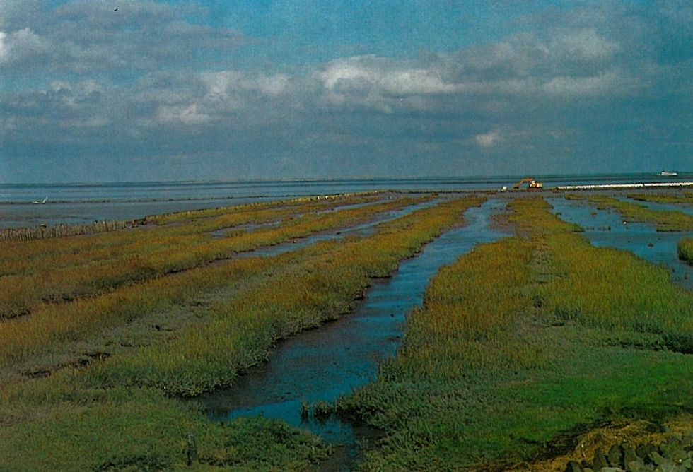 Lahnungen