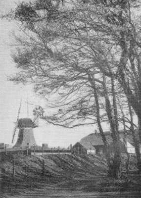 Mühle