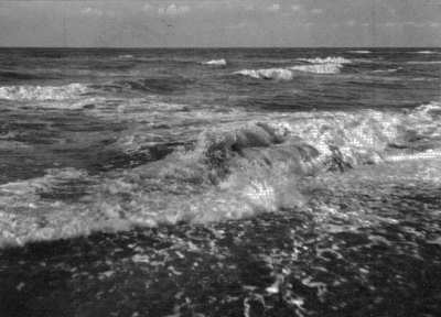 Meer