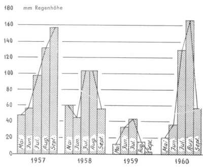 Regenhöhe