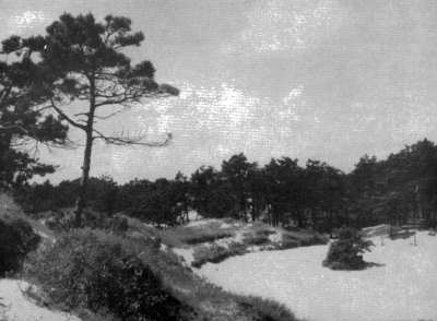 Dünen
