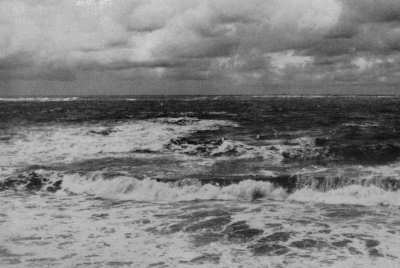 Meer