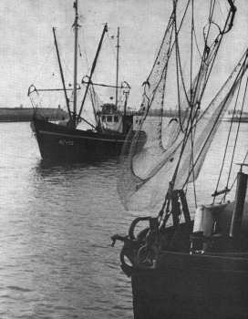 Fischkutter