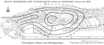 Süsswasserlinse