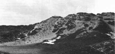 Dünen