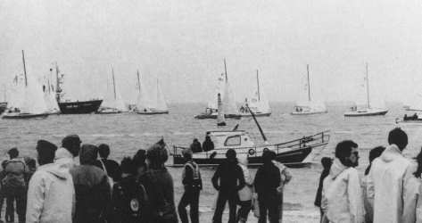 Seeregatta